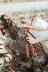 The Coco Leash